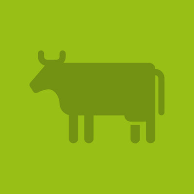 Beef